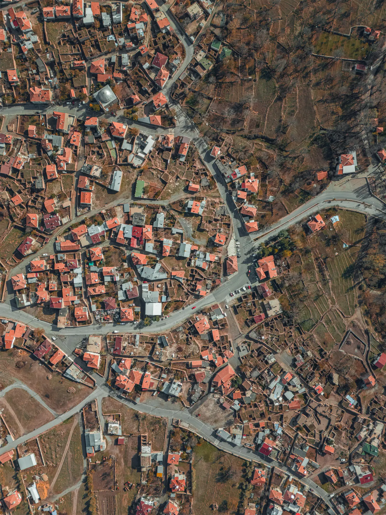 Conseils Stratégiques